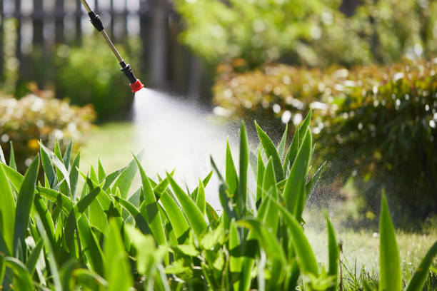 Tamper-Resistant Bait Stations for Rodents in Montello