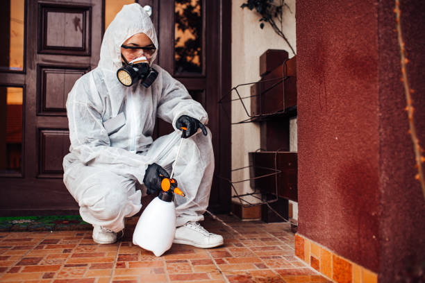 Attic and Crawl Space Rodent Treatment in Montello
