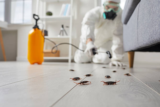 Commercial Rodent Management in Montello